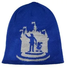 Disney Knit Hat - Partners - Mickey & Walt