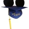 Disney Hat - Ears Graduation Cap - Class Of 2014 - Mortarboard